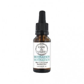 Elixirs & Co Motivation 20 ml