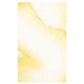 SKINCEUTICALS RESVERATROL B E CONCENTRE ANTIOXYDANT DE NUIT 30ML