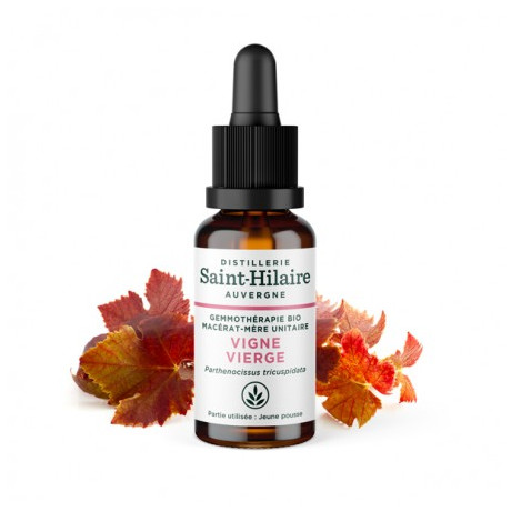De Saint Hilaire Macérat de vigne vierge Bio 30ml