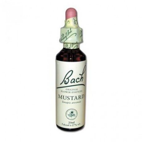 Fleur de Bach Mustard n°21 - 20 ml - Bach